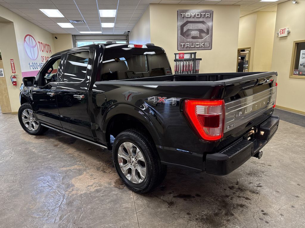 FORD F-150 PLATINUM - 10