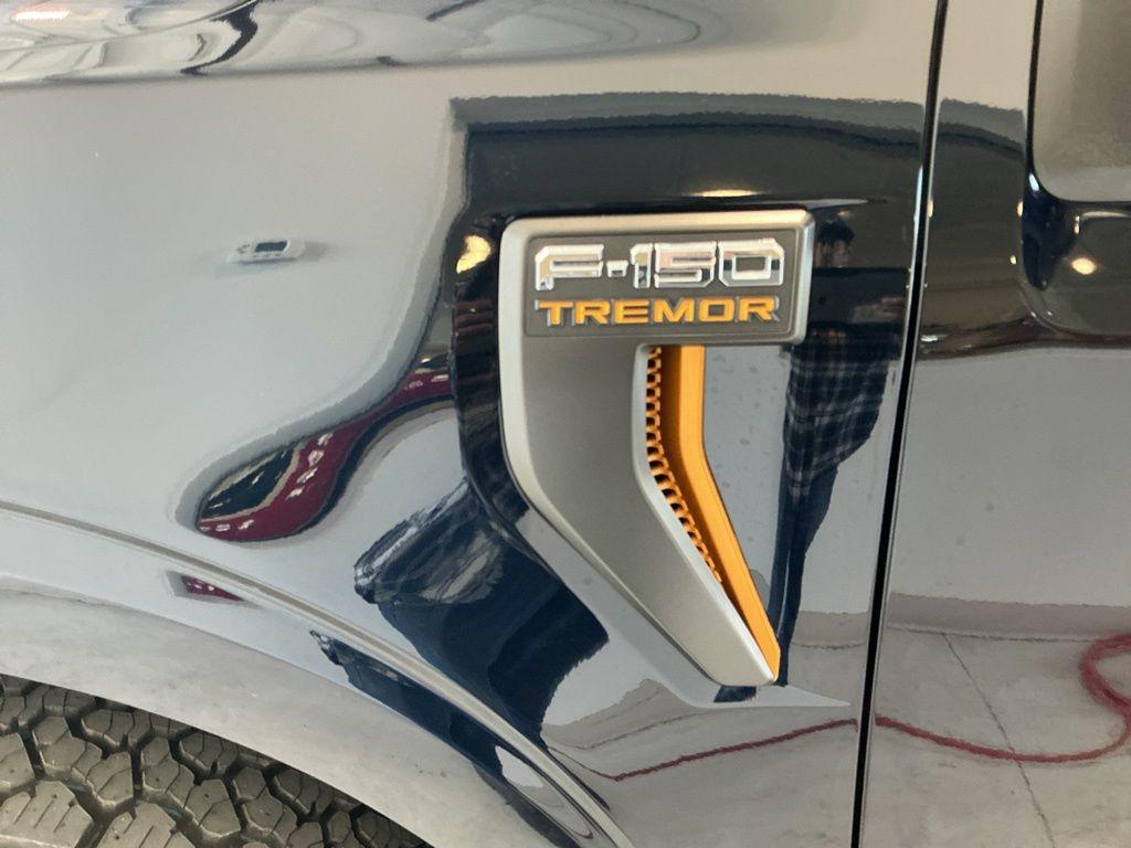 FORD F-150 TREMOR - 4