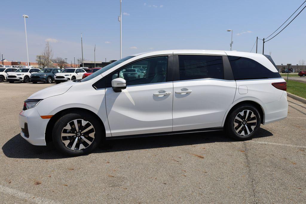 صورة 8 لـ 2026 Honda ODYSSEY EX-L