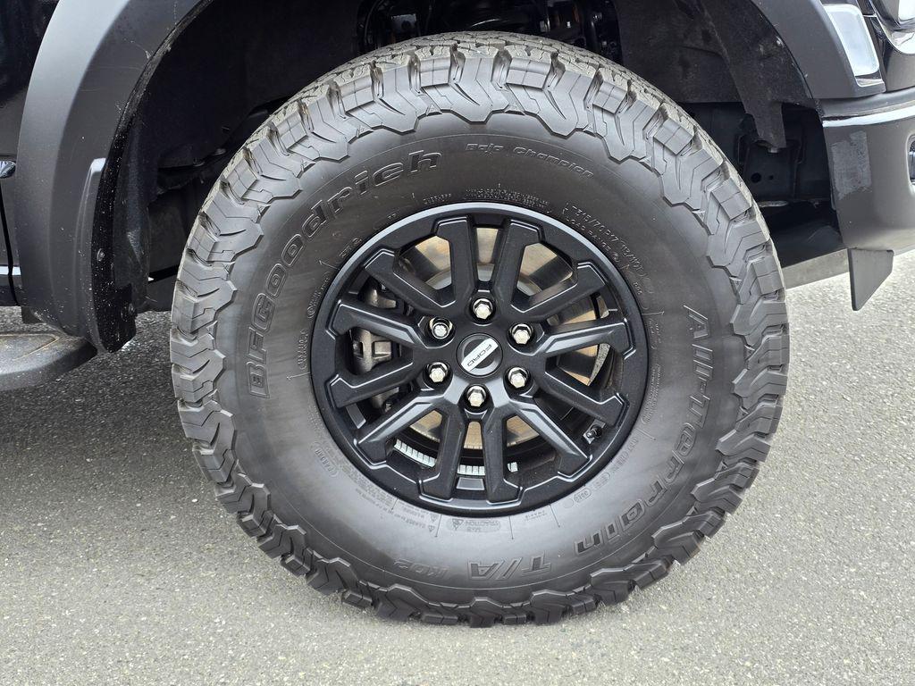 FORD F-150 RAPTOR - 10