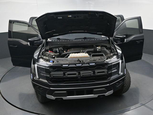 صورة مصغرة 44 لـ 2024 FORD F-150 RAPTOR