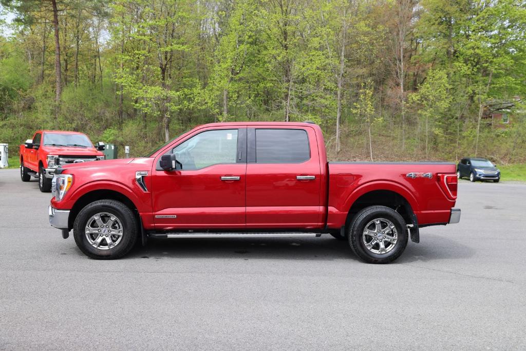 FORD F-150 XLT - 8