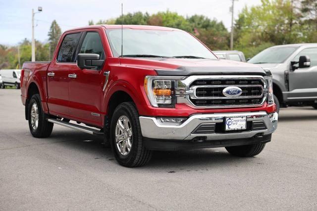 2022 FORD F-150 XLT 缩略图 45