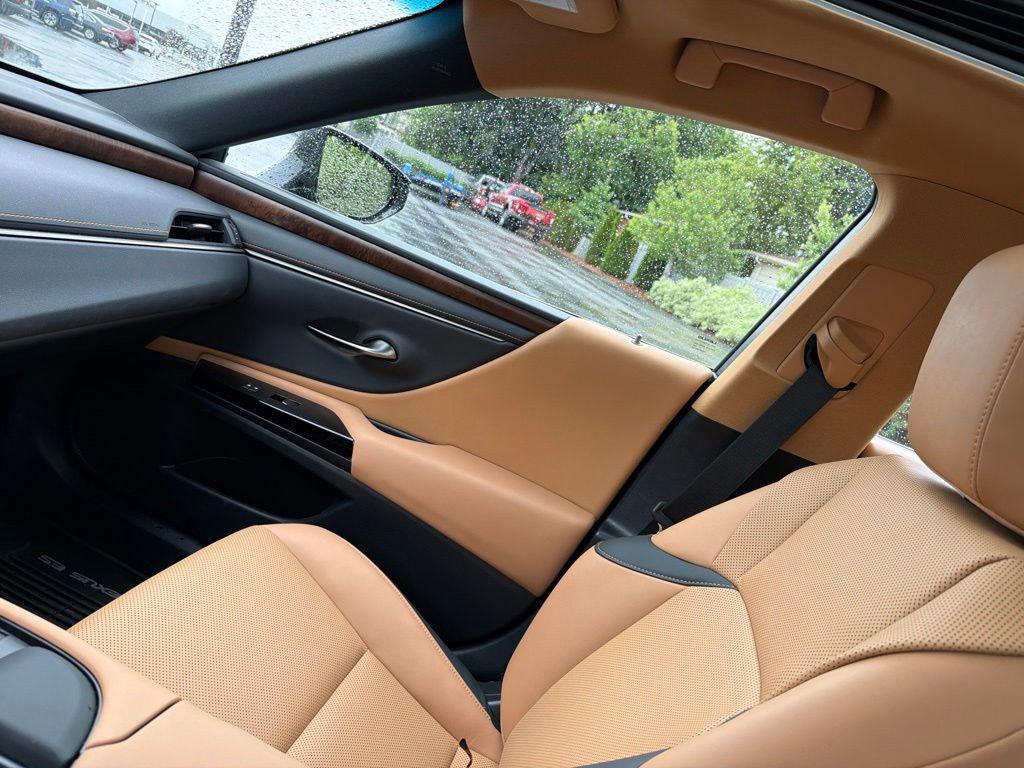 2022 Lexus ES 250 BASE 缩略图 15