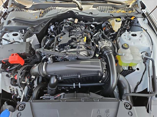 2026 FORD MUSTANG ECOBOOST 缩略图 15