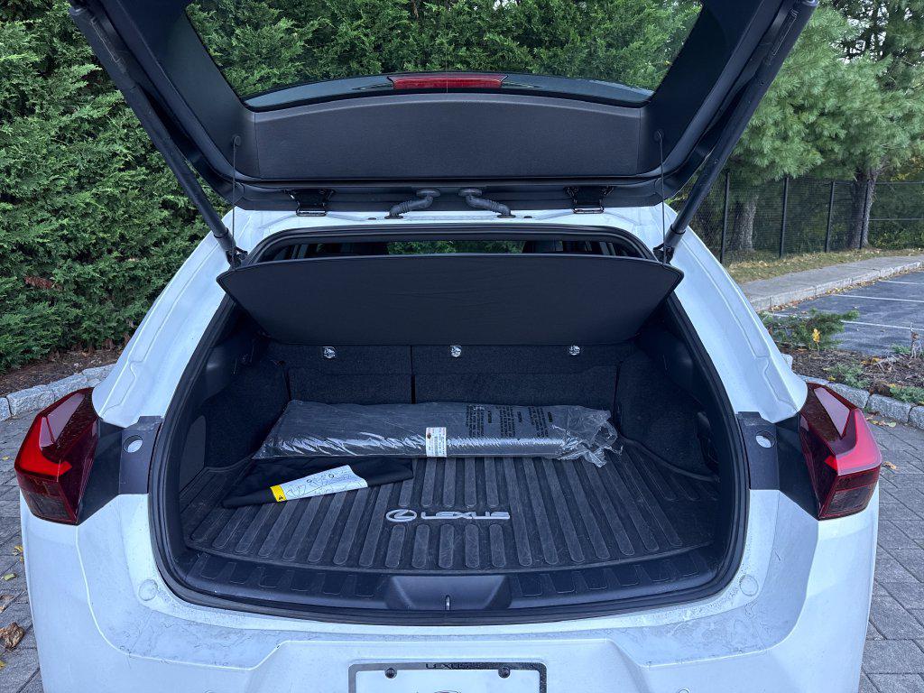 2024 Lexus UX 250H F SPORT 缩略图 13