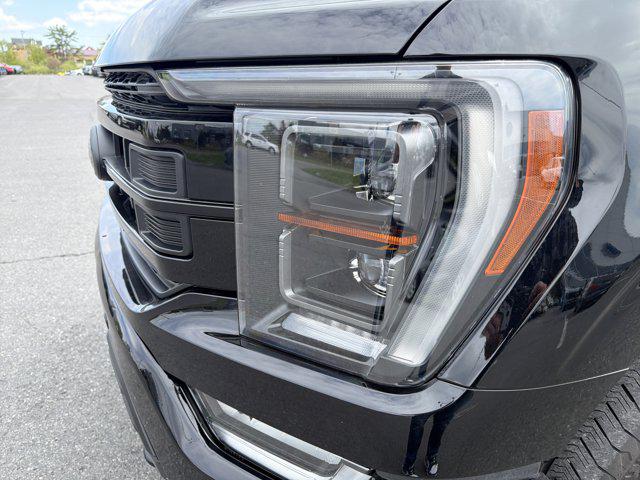 FORD F-150 PLATINUM - 10