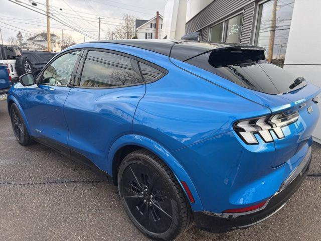 2025 FORD MUSTANG MACH-E GT 照片 8