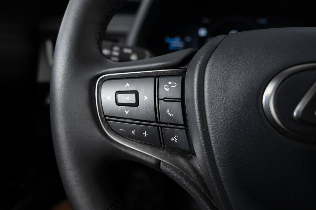 2025 Lexus UX 300H PREMIUM — миниатюра 29