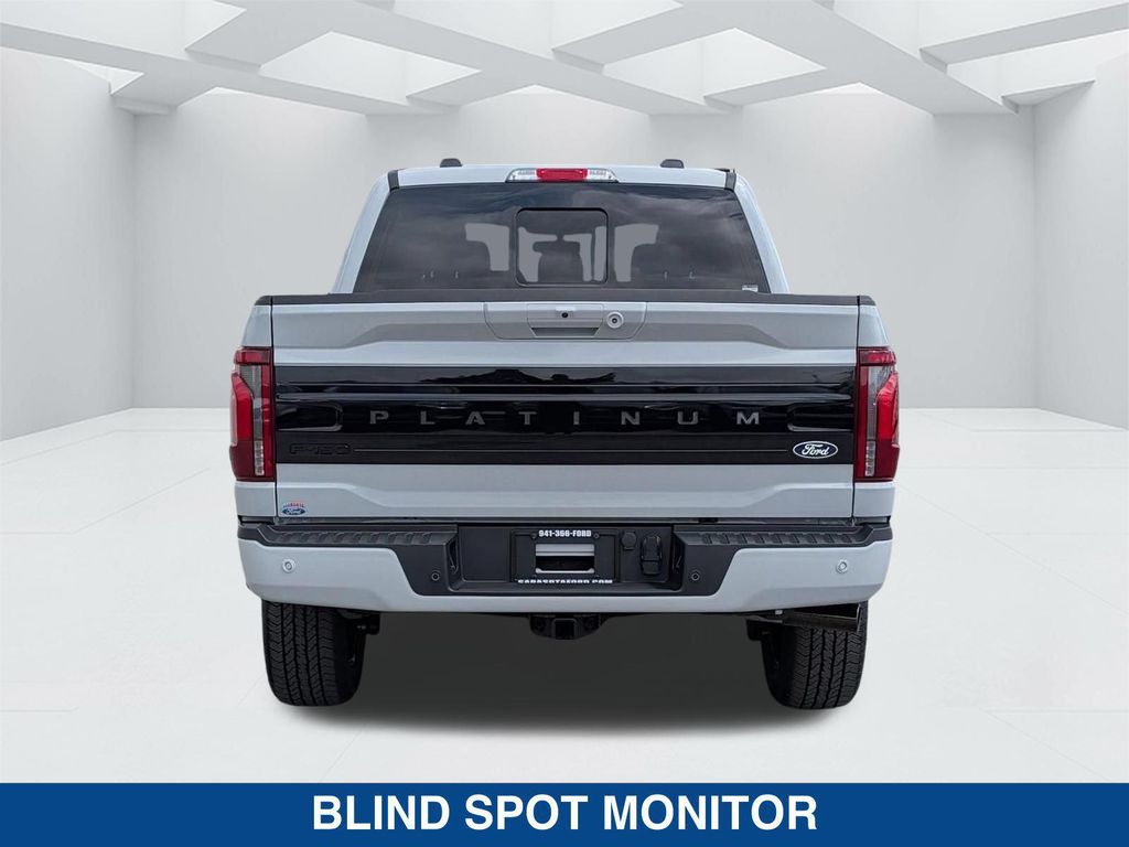 2026 FORD F-150 PLATINUM 照片 5
