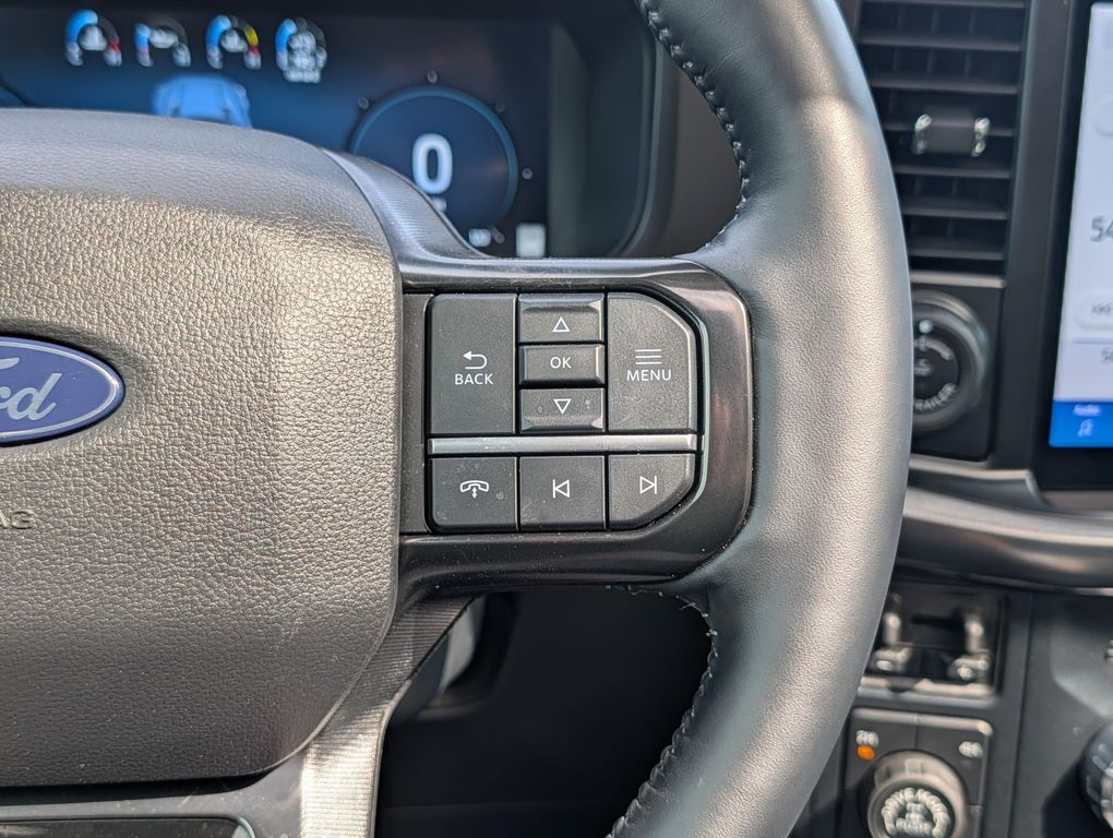 2025 FORD F-150 PLATINUM 缩略图 48
