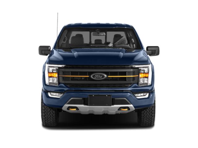 FORD F-150 TREMOR - 4