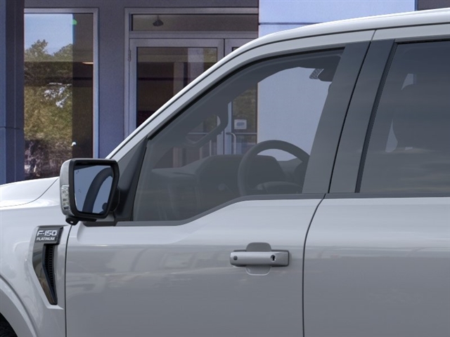 2026 FORD F-150 PLATINUM 缩略图 20