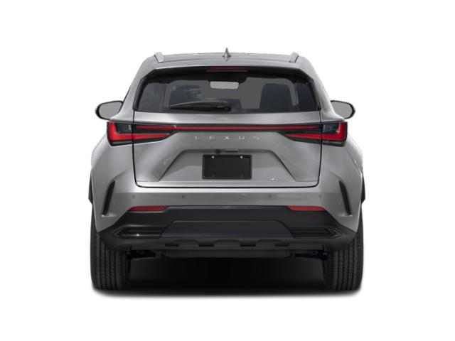 2025 Lexus NX 250 PREMIUM 照片 5