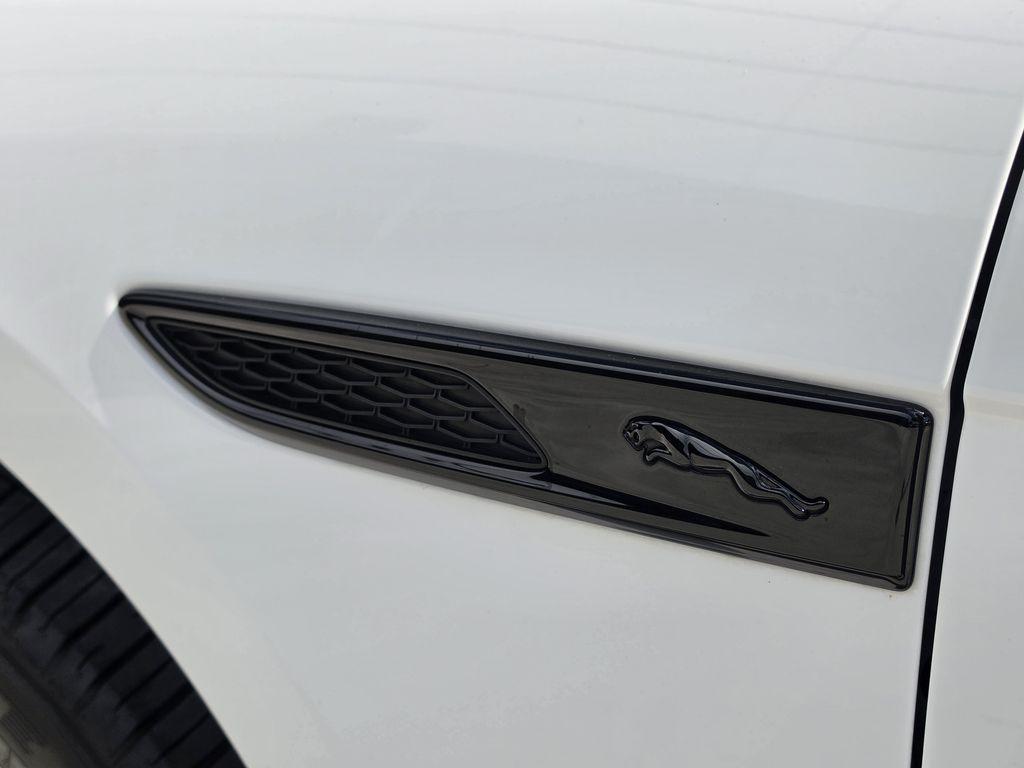 2024 Jaguar F-PACE P400 R-DYNAMIC S 照片 41