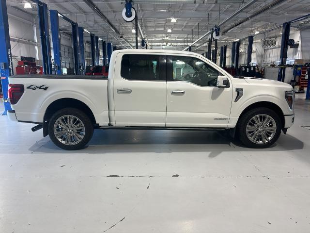 FORD F-150 PLATINUM - 4