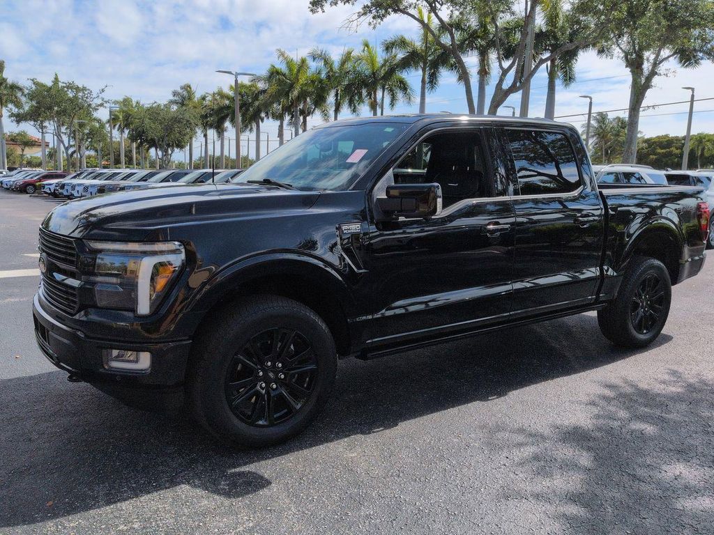 2024 FORD F-150 PLATINUM 照片 8