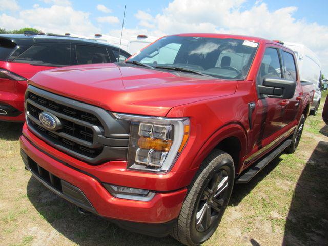FORD F-150 XLT - 3