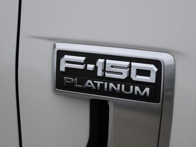 FORD F-150 PLATINUM - 9