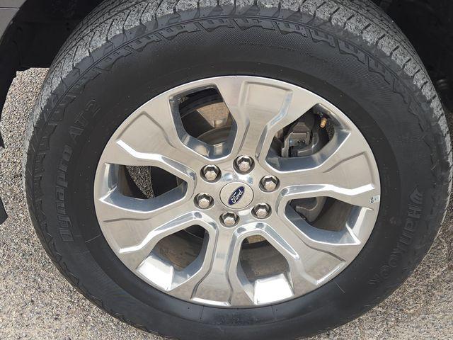 FORD F-150 PLATINUM - 8