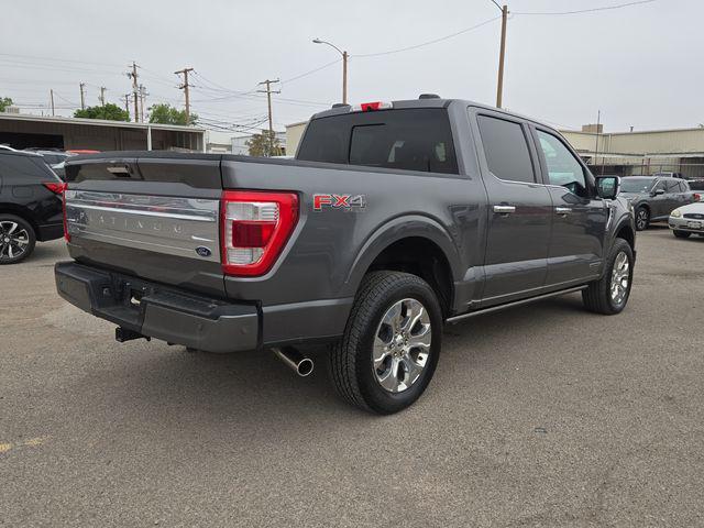 FORD F-150 PLATINUM - 3