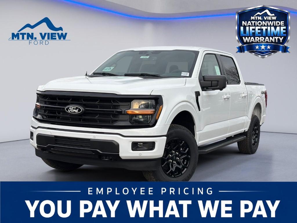 FORD F-150 XLT - 1