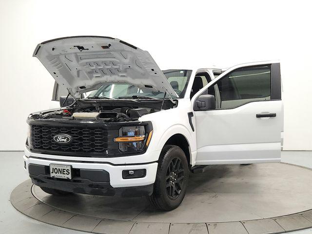 صورة مصغرة 11 لـ 2025 FORD F-150 STX
