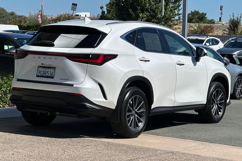 2024 Lexus NX 250 BASE 照片 4
