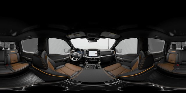 FORD F-150 TREMOR - 4
