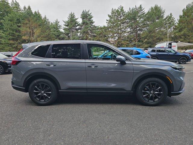 2026 Honda CR-V EX-L 照片 8