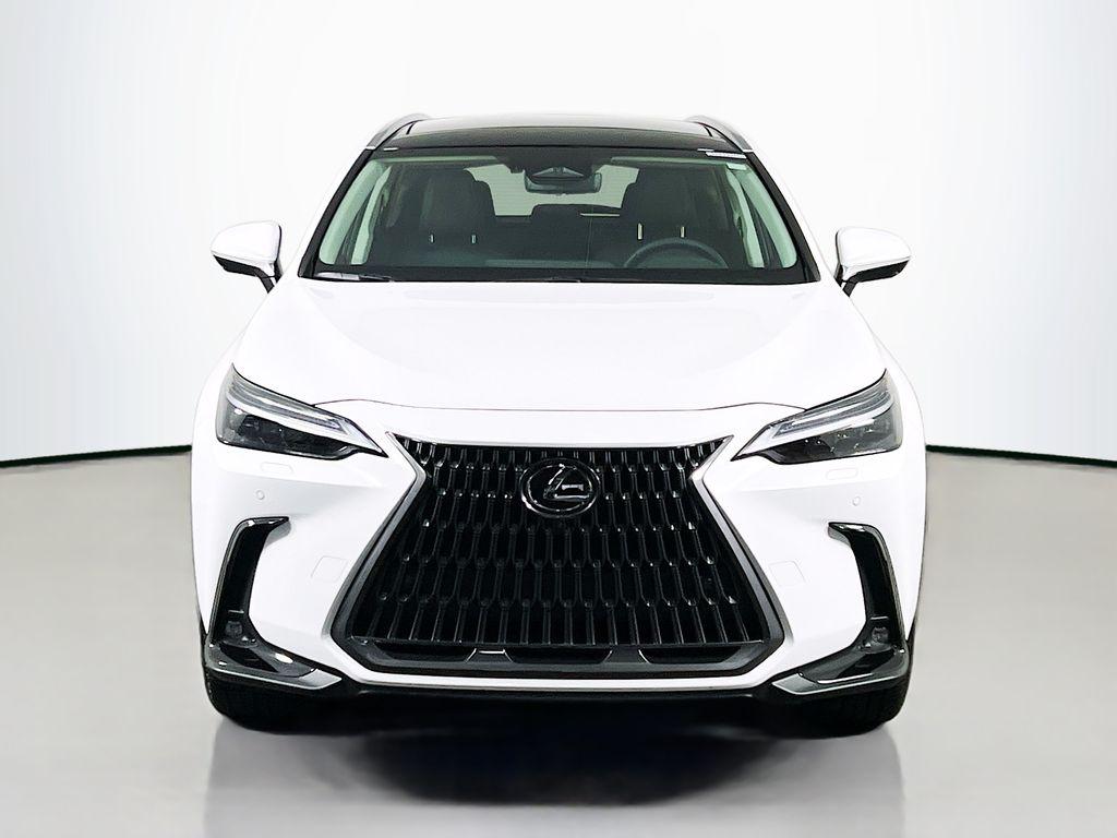 2026 Lexus NX 350 LUXURY 照片 2