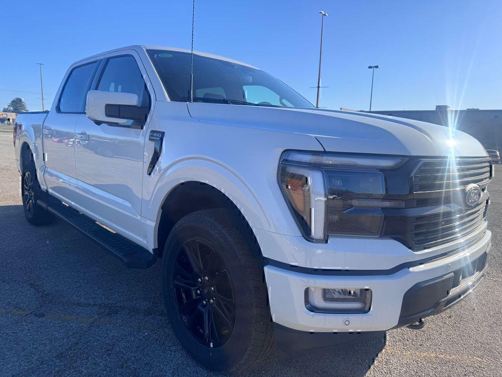 FORD F-150 PLATINUM - 10