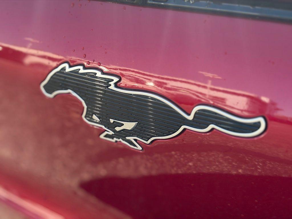 2022 FORD MUSTANG MACH-E PREMIUM 照片 39