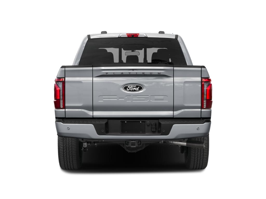FORD F-150 PLATINUM - 7