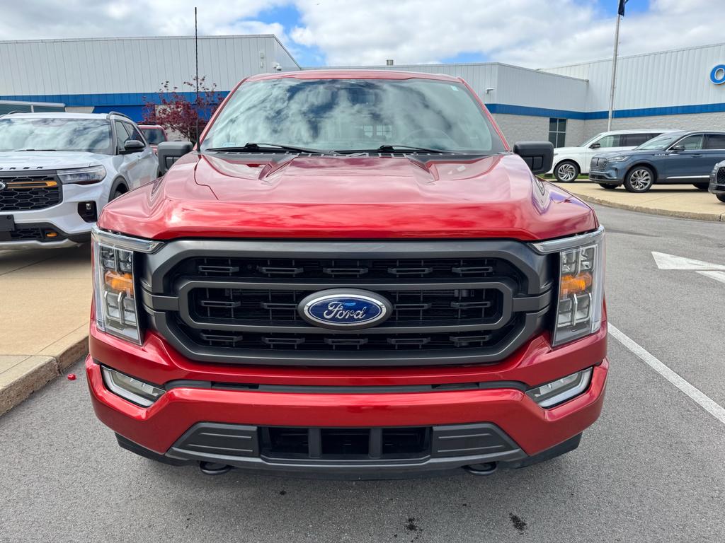 FORD F-150 XLT - 4