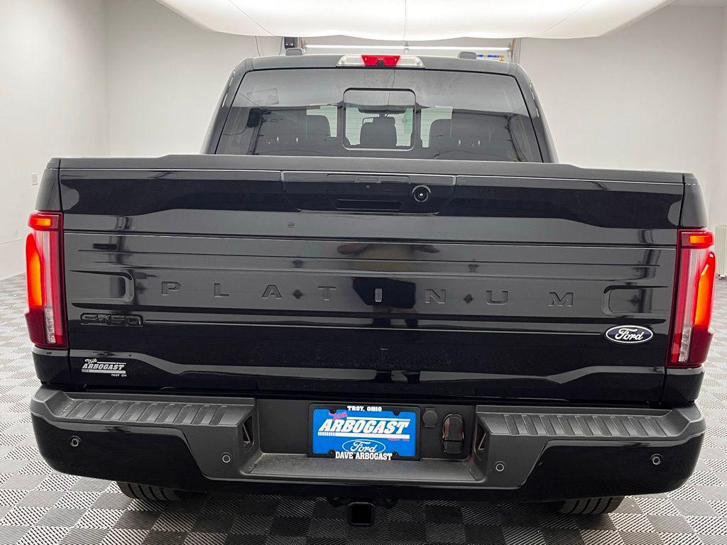 FORD F-150 PLATINUM - 9