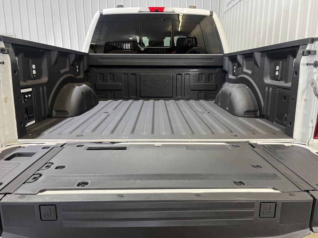 FORD F-150 PLATINUM - 10