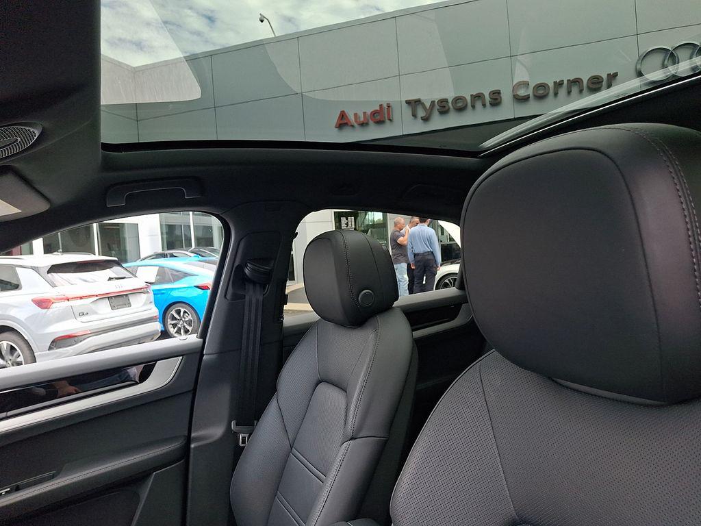 2025 Porsche CAYENNE CAYENNE S E-HYBRID 照片 14