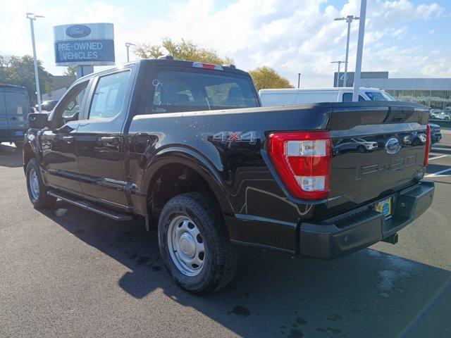 صورة 5 لـ 2023 FORD F-150 XL