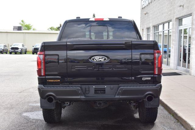 FORD F-150 TREMOR - 10