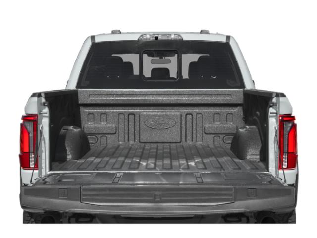 FORD F-150 RAPTOR - 10