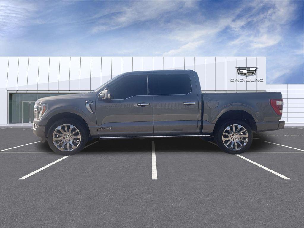 FORD F-150 LIMITED - 5