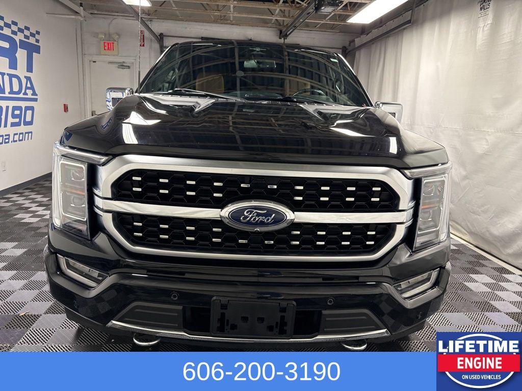 2023 FORD F-150 PLATINUM photo 3