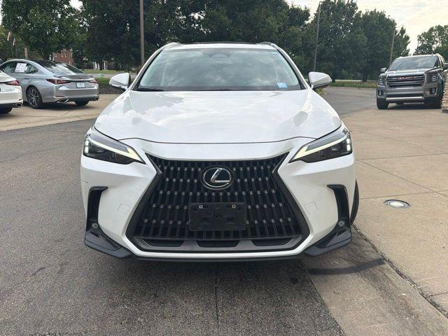 2024 Lexus NX 350H AWD — фото 2