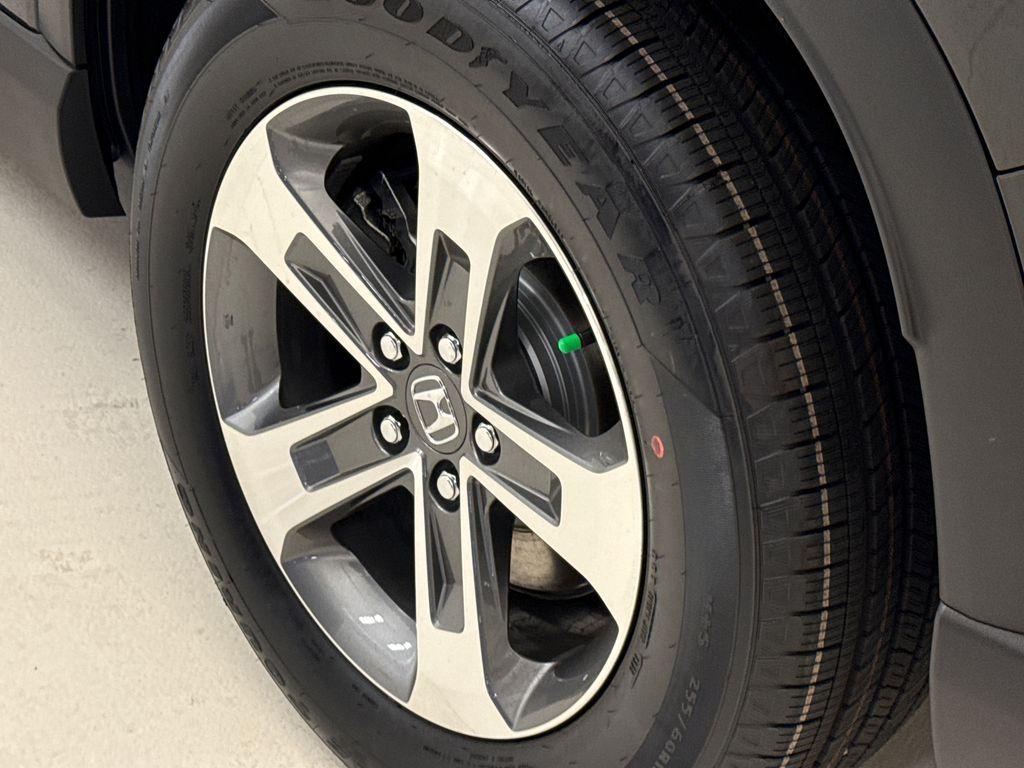 2026 Honda PILOT EX-L 照片 10