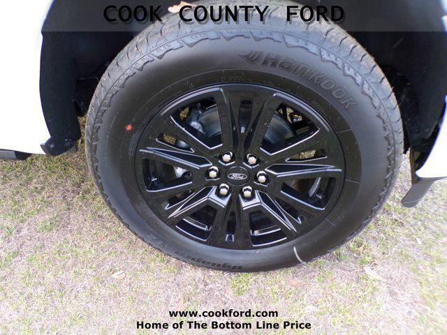 FORD F-150 PLATINUM - 9