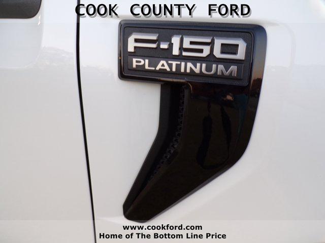 FORD F-150 PLATINUM - 10