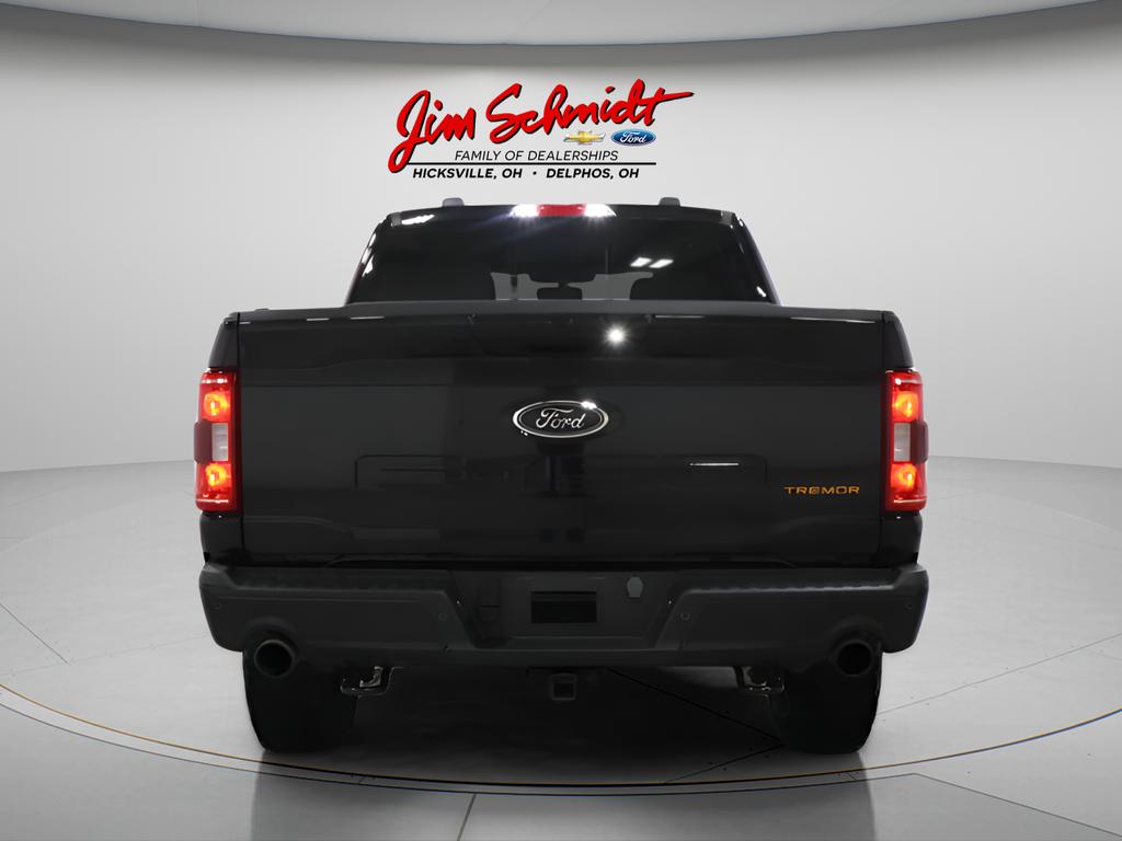 FORD F-150 TREMOR - 5