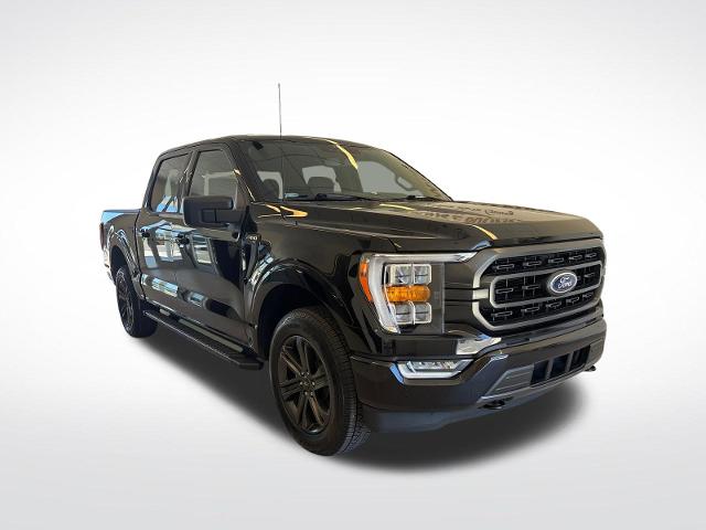 FORD F-150 XLT - 4