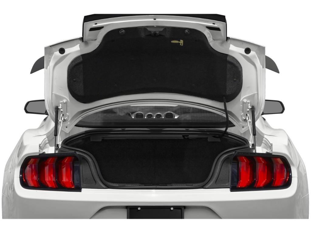 2023 FORD MUSTANG MACH 1 thumbnail 41